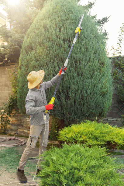 Lawn Watering Services in Clearlake Riviera, CA